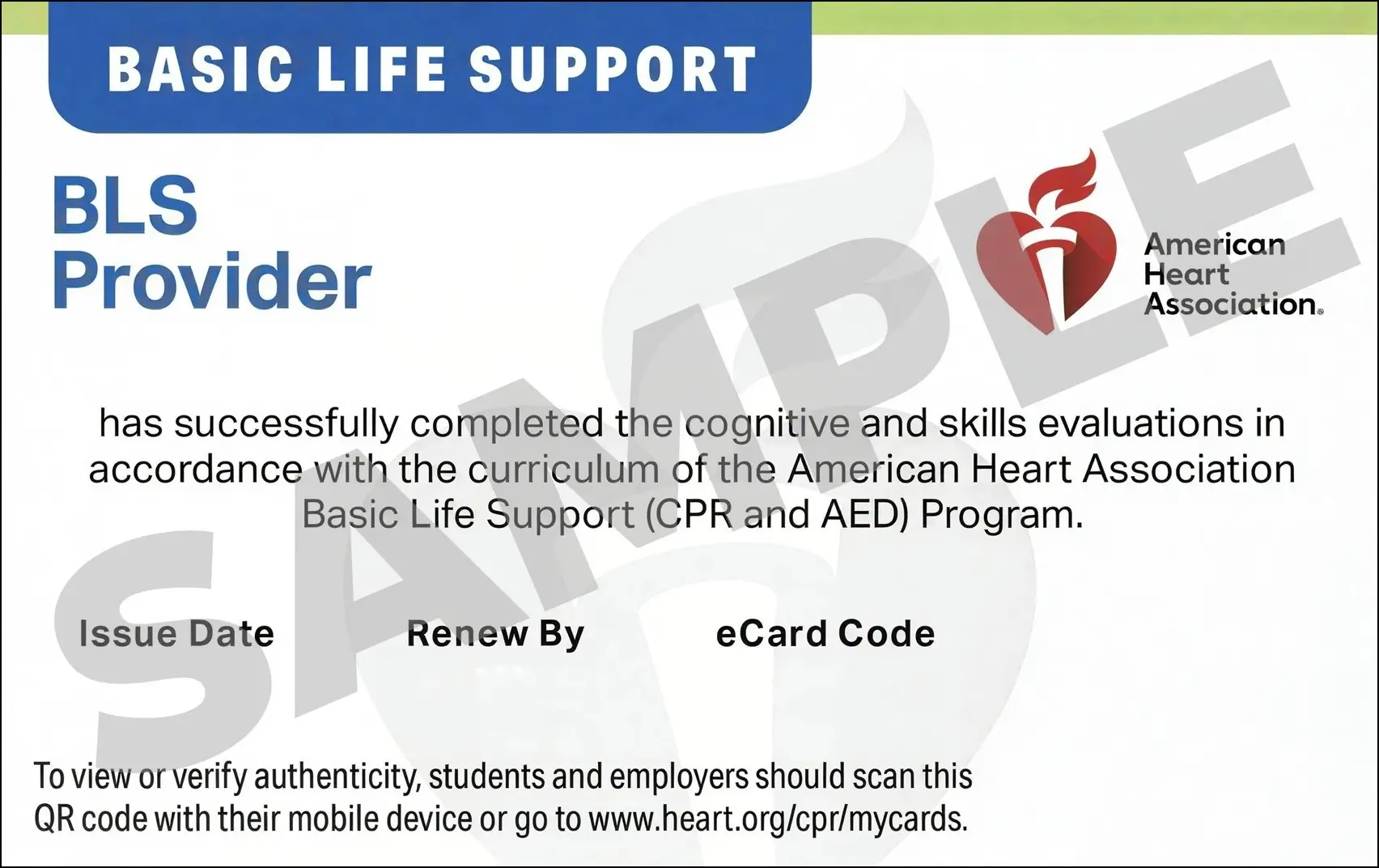 Sample American Heart Association AHA BLS CPR Card Certification from CPR Certification Augusta